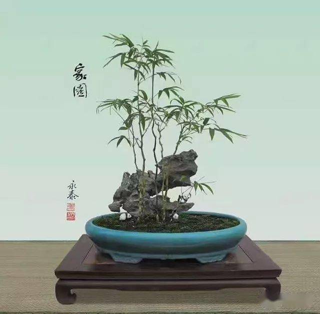 竹子盆景