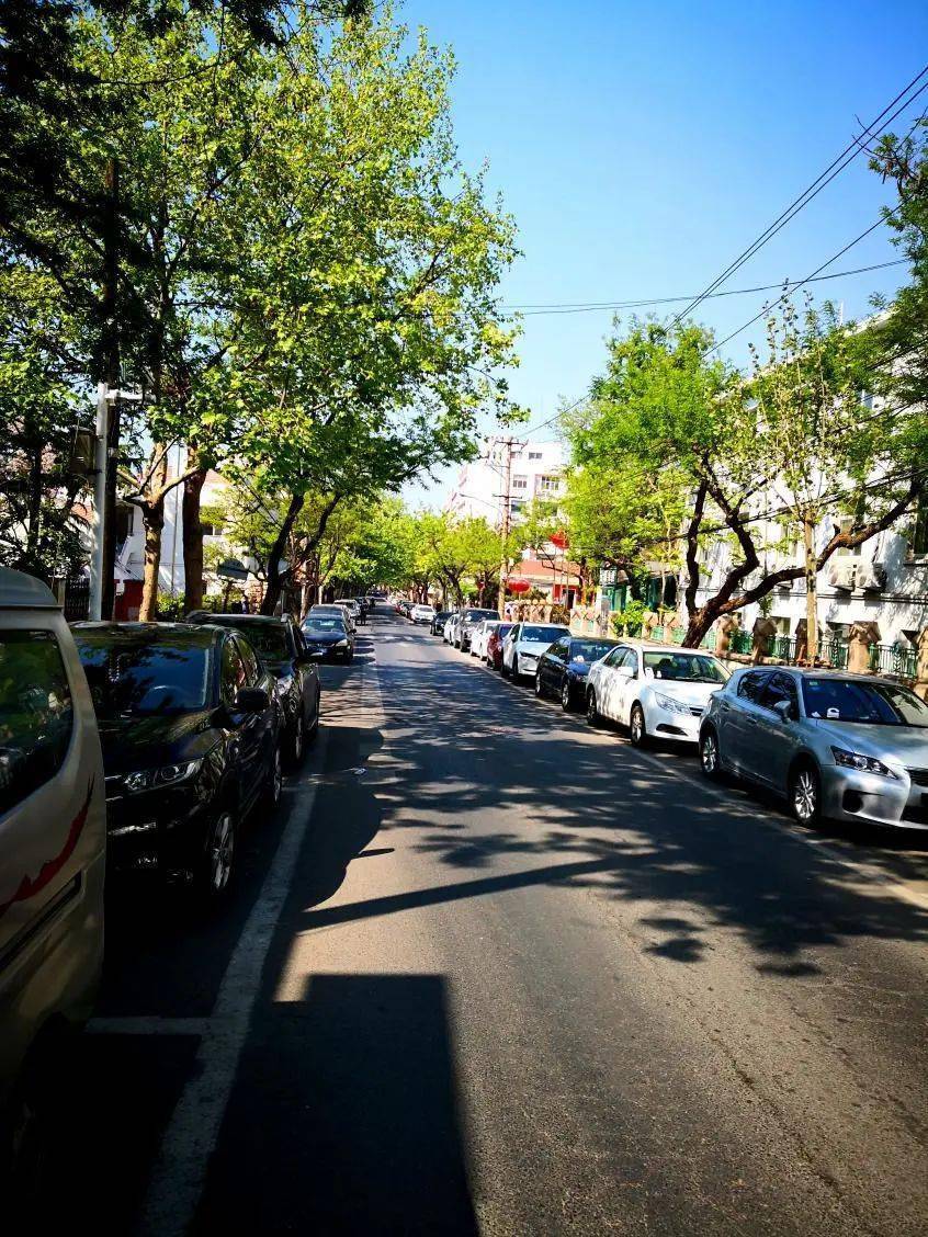 武定路_青岛_建筑