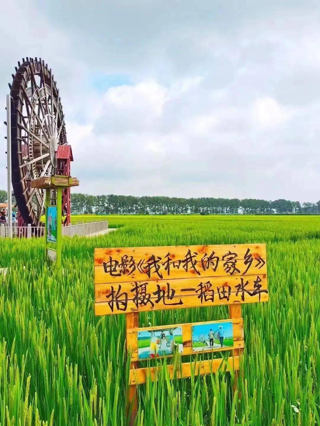 【文化旅游】自带"电影脸"的稻梦空间,谁拍都能出大片_锡伯_稻田_火车