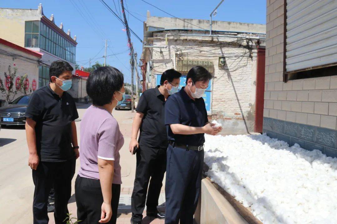 杨跃峰书记到明化镇调研检查_农村_群众_厕所