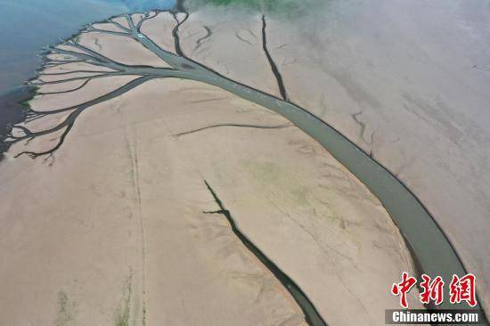 江西鄱阳湖水位持续走低 湖区现“大地之树”景观