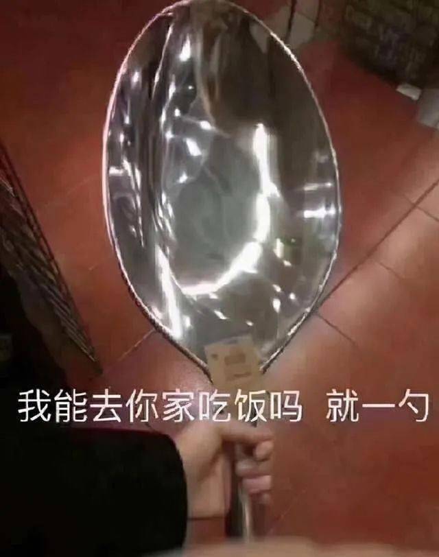 吃得不多,就一勺小e也想去蹭饭啊!可以给小e准备一副碗筷吗?