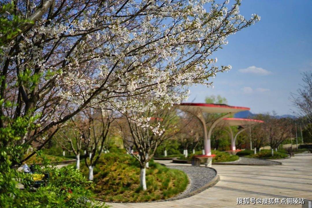 临安@杭州云安小镇公寓售楼处电话丨售楼地址丨最新房源详情!