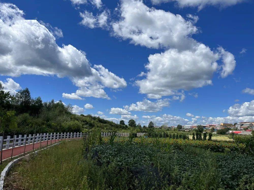 "三城"创建丨抚松县北岗镇:"三城"创建不松劲 小镇再续新篇章_方式和