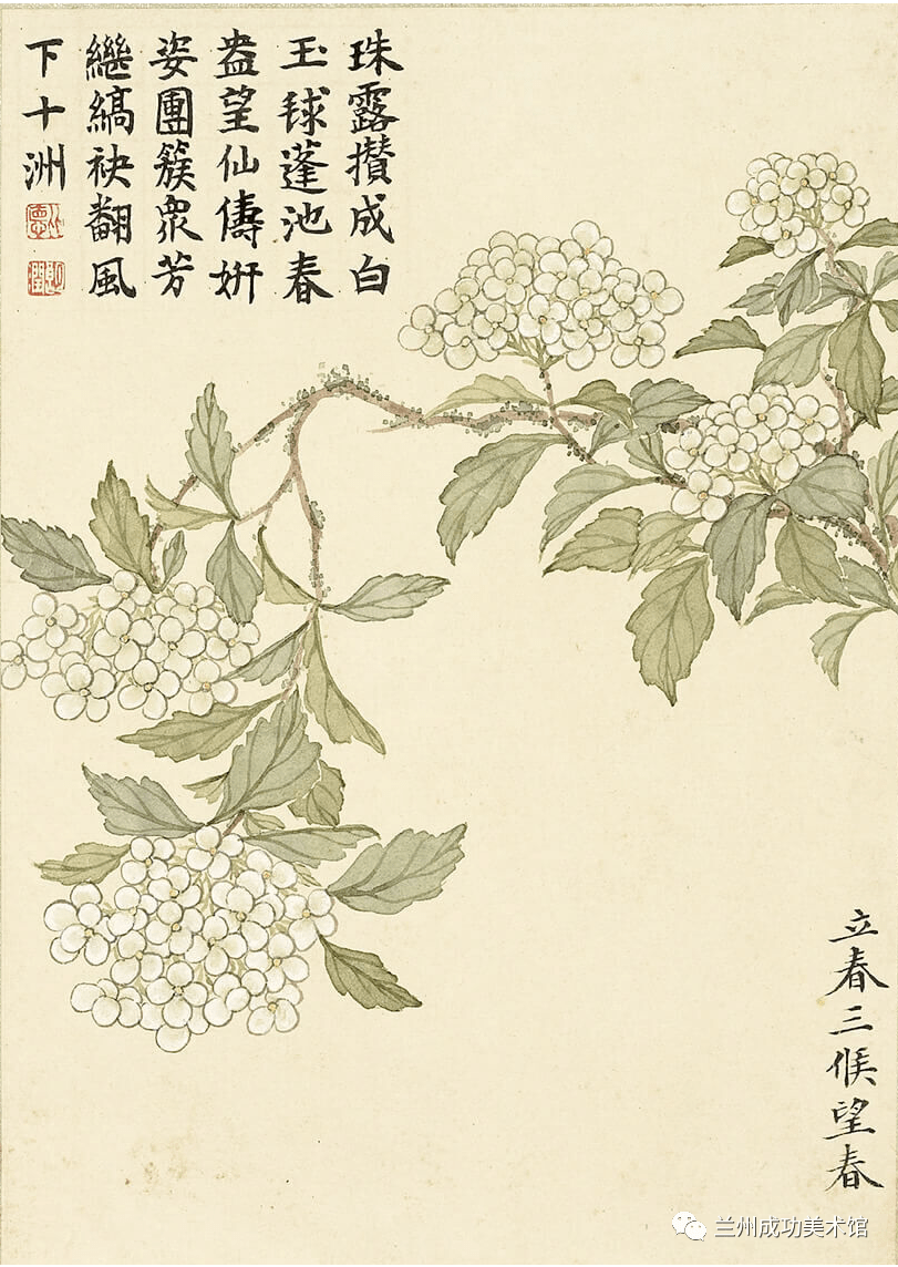 诗画阅微】董诰的《二十四番花信风图》_明一候_书画_宣传