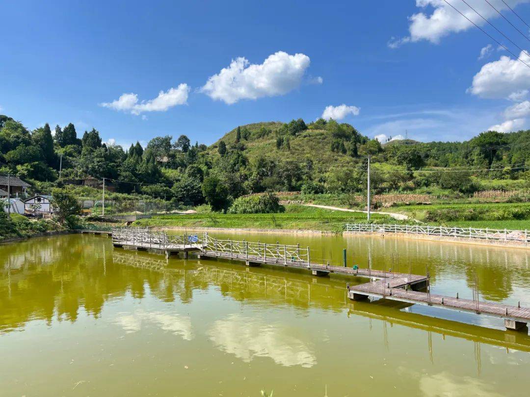 【庭院美化】凯里市湾水镇:庭院美化点靓乡村振兴新画卷_建设_扬家风