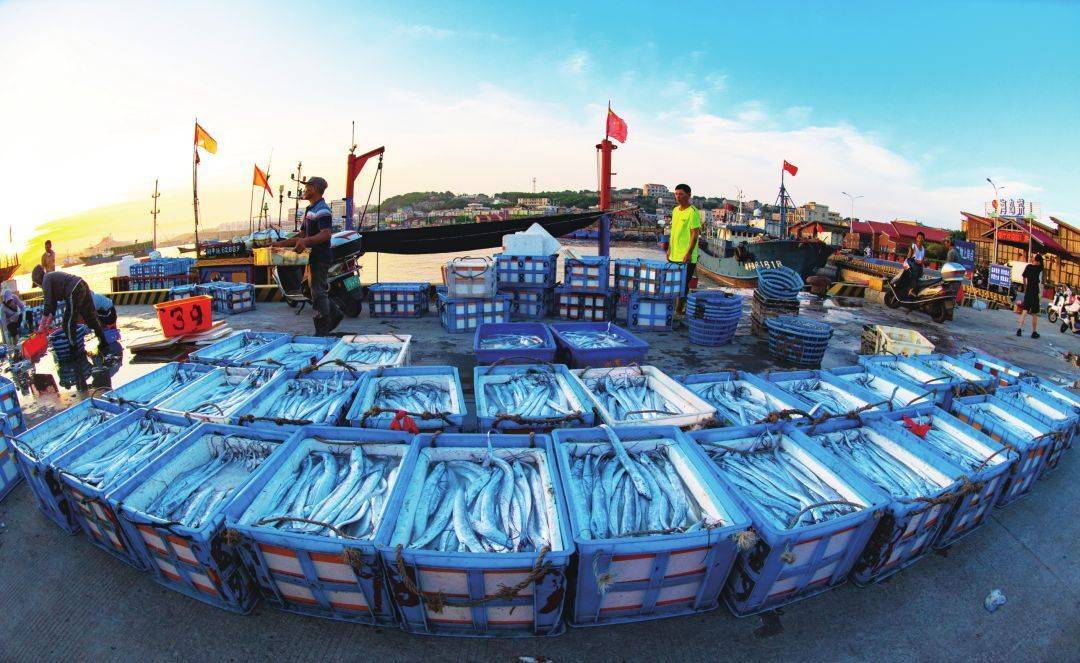 在冬天到来之前赶紧来澳前坐游轮尝海鲜_平潭_码头_渔港