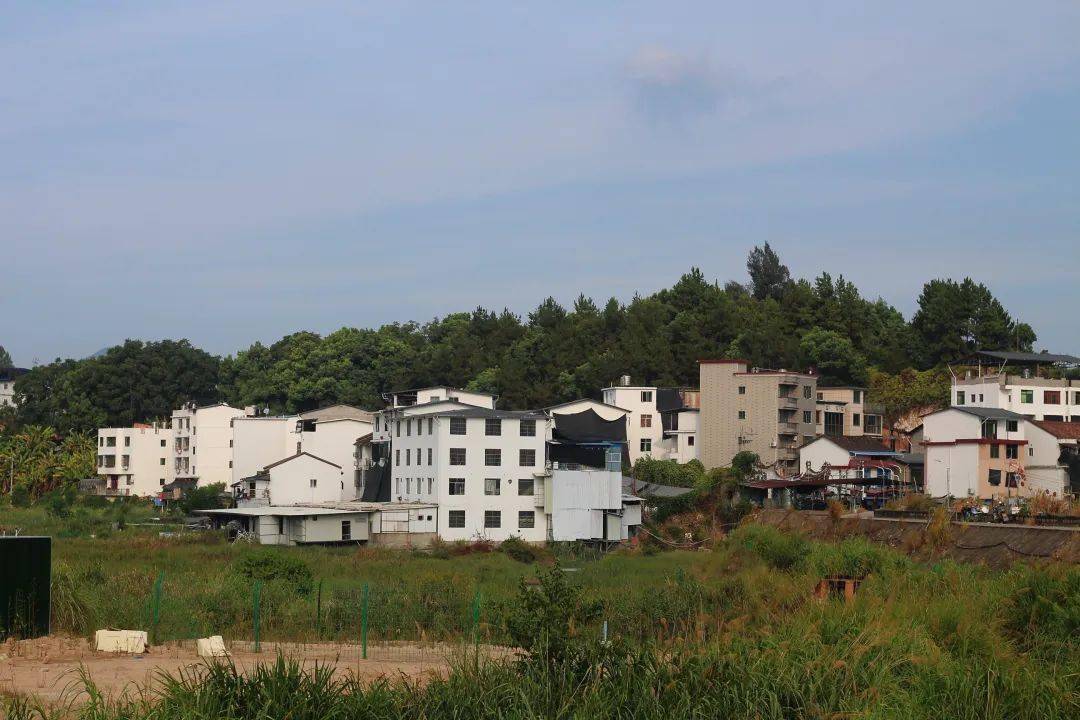 鳌江村别样的早霞与黄昏!_小渔村_图片_滩涂