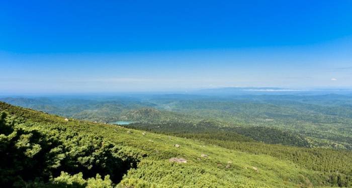 39岁容声冰箱的“少年感”：与用户一起抖出生活新姿态-家电圈官网