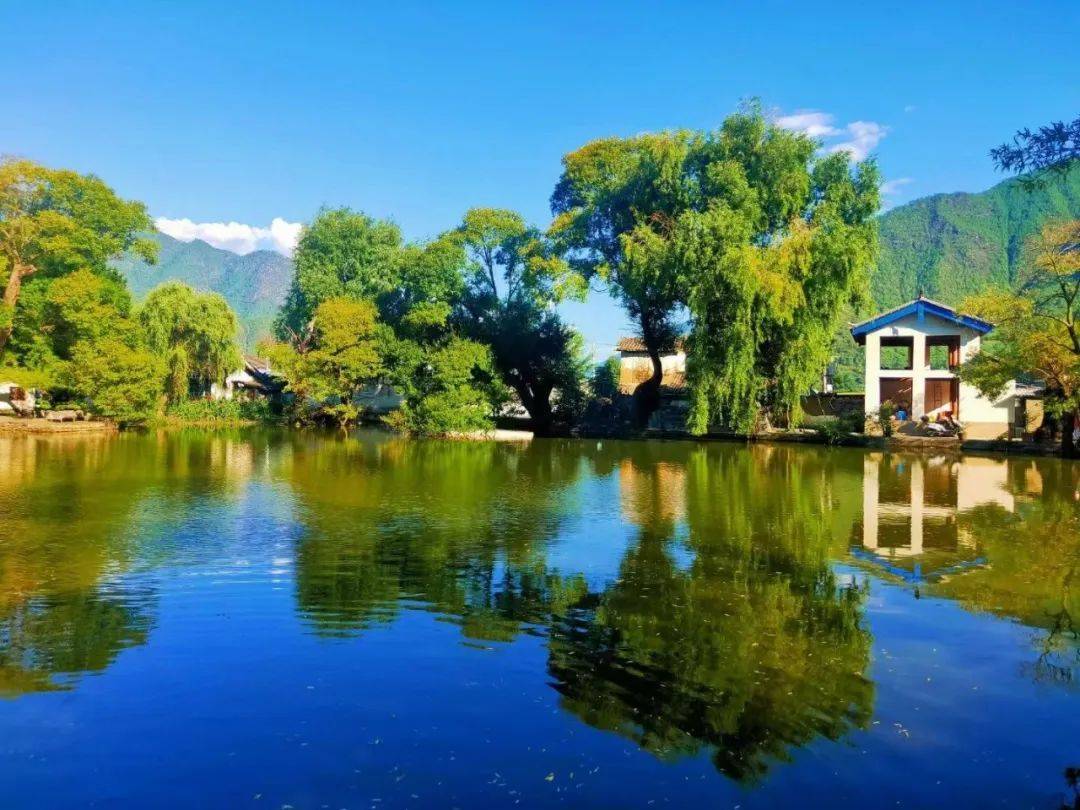 走进阿瓦荷塘 邂逅乡村慢时光_荷花_生活_那一池