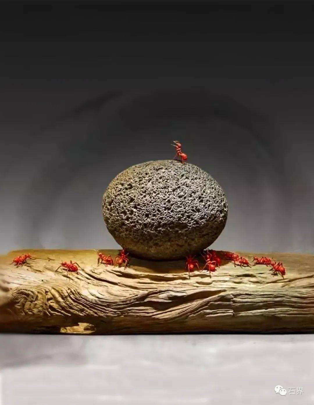 观赏石比“艺术”更艺术