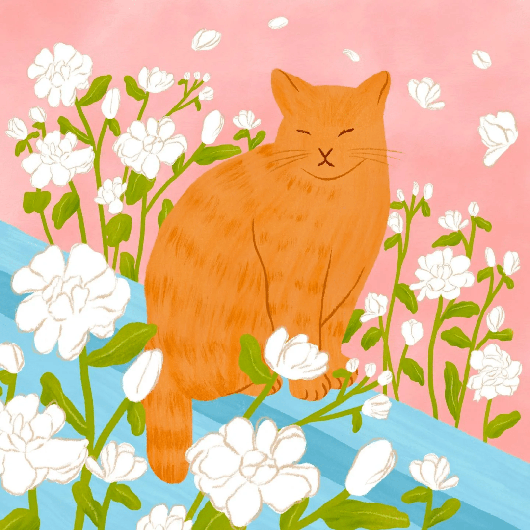 给你80张高级小众插画,收藏作秋日头像_生活_作品_omilhwa