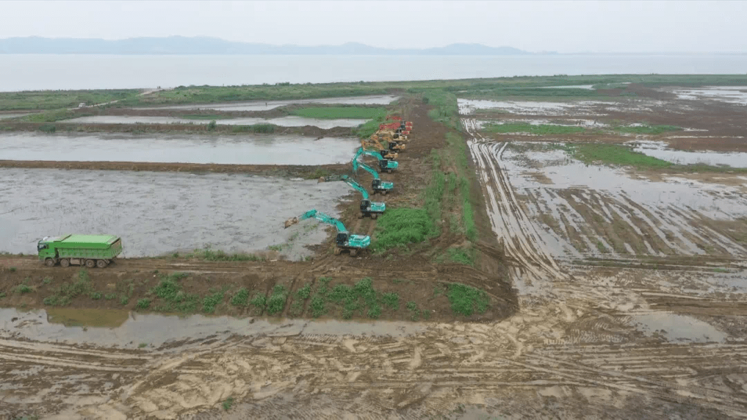 固城湖退圩还湖图片