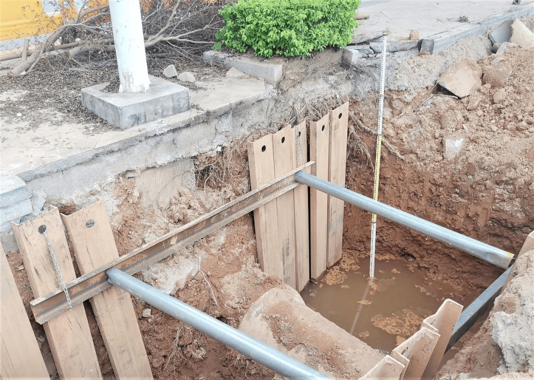 坦洲水污染治理安全,成效"两手抓"_坦洲镇_台风_污水