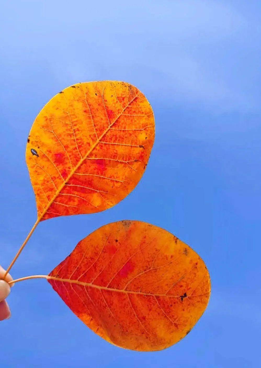 (好文)_才会心_金钱_心态