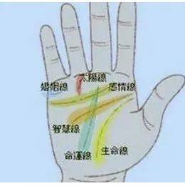女人右手掌纹图解_生命线_智慧_婚姻
