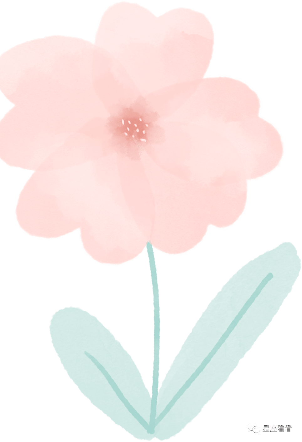 每日运势 8月27日 今天可以做一做近期计划 给未来定个小目标 工作 宝宝 星座