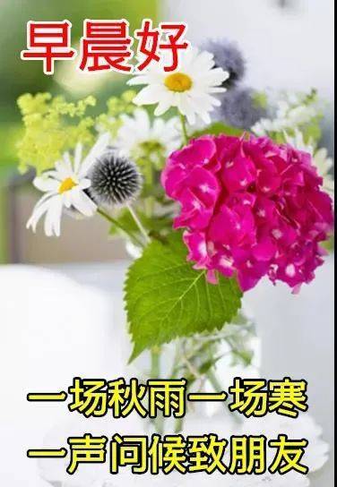 8月27日最新特漂亮早上好鲜花图片祝福语 2022最美秋日早安问候图片
