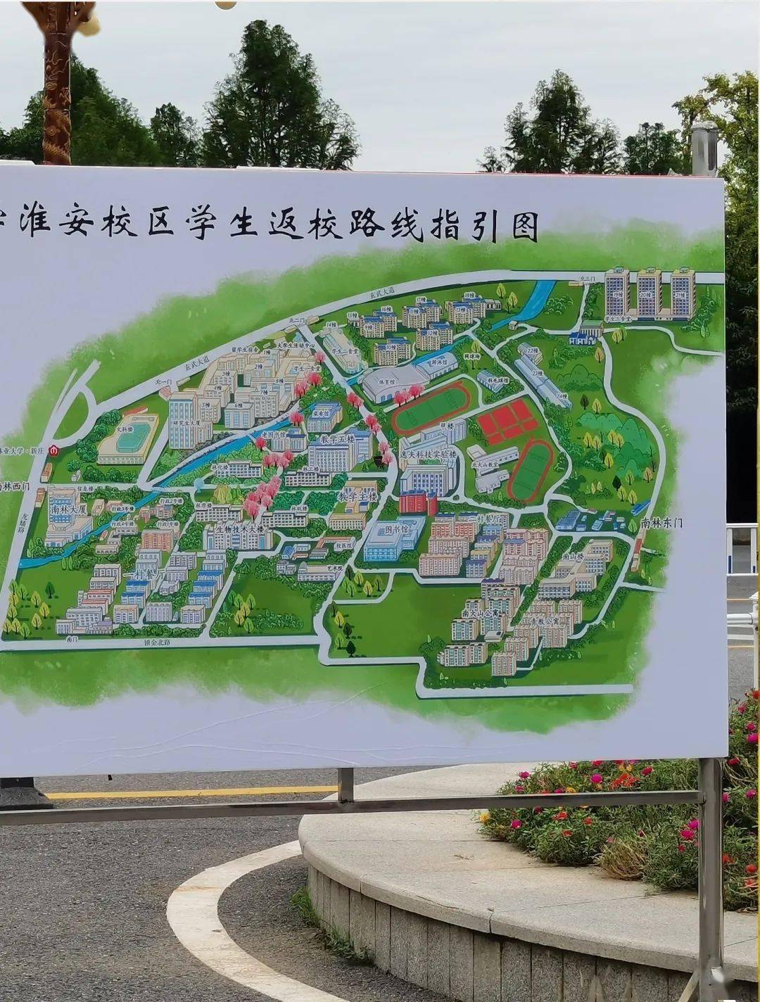 南京林业大学地图图片