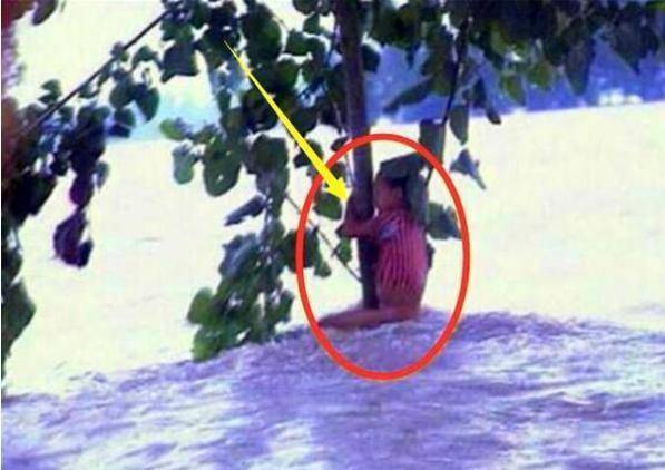 1998年湖北大洪水，7岁女孩抱树9小时被救，后来怎么样了？