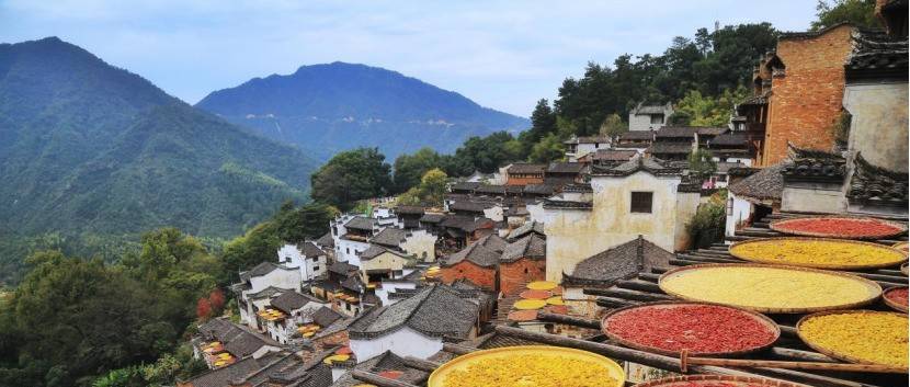 因这5个原因,村庄走向“景区化”,成趋势!_游客_乡村_农村