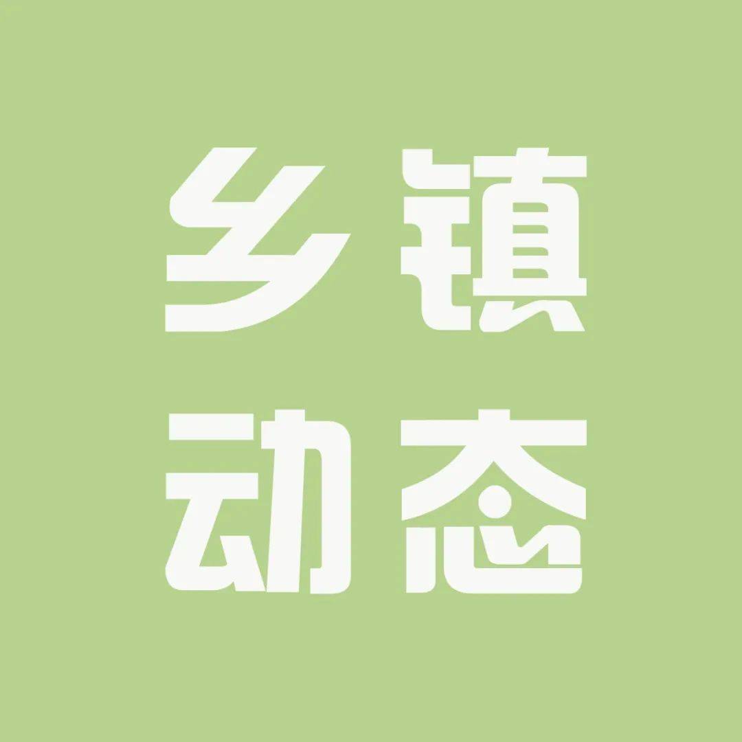 【乡镇动态】腊勐镇：以“小”见严明纪律 从“小”正身转作风 革命 效能 工作