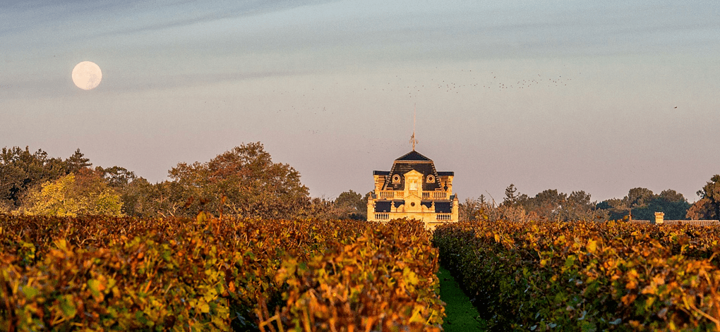 波尔多名庄盛宴,骑士庄园&克莱蒙教皇&拉图玛蒂雅克&美人鱼&勒庞庄!