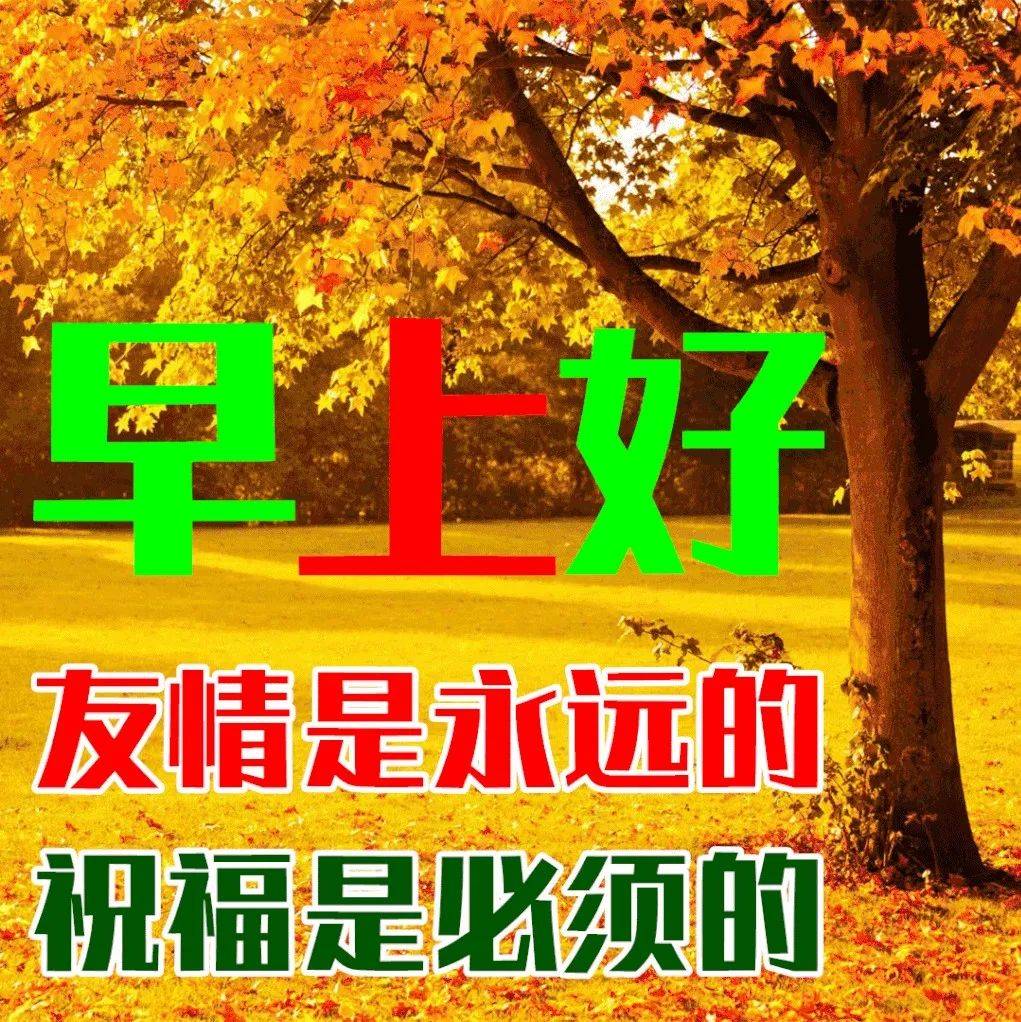 8月29日最新早上好祝福动态表情图片大全，秋天早安问候语句子！ 亲爱的朋友 生活 好运