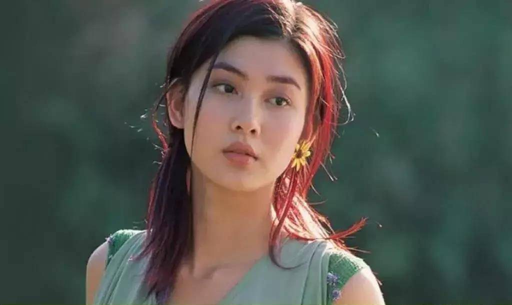 《回家的诱惑》艾莉扮演者李彩桦秘密分手,她还曾是林峯初恋_黄彦书