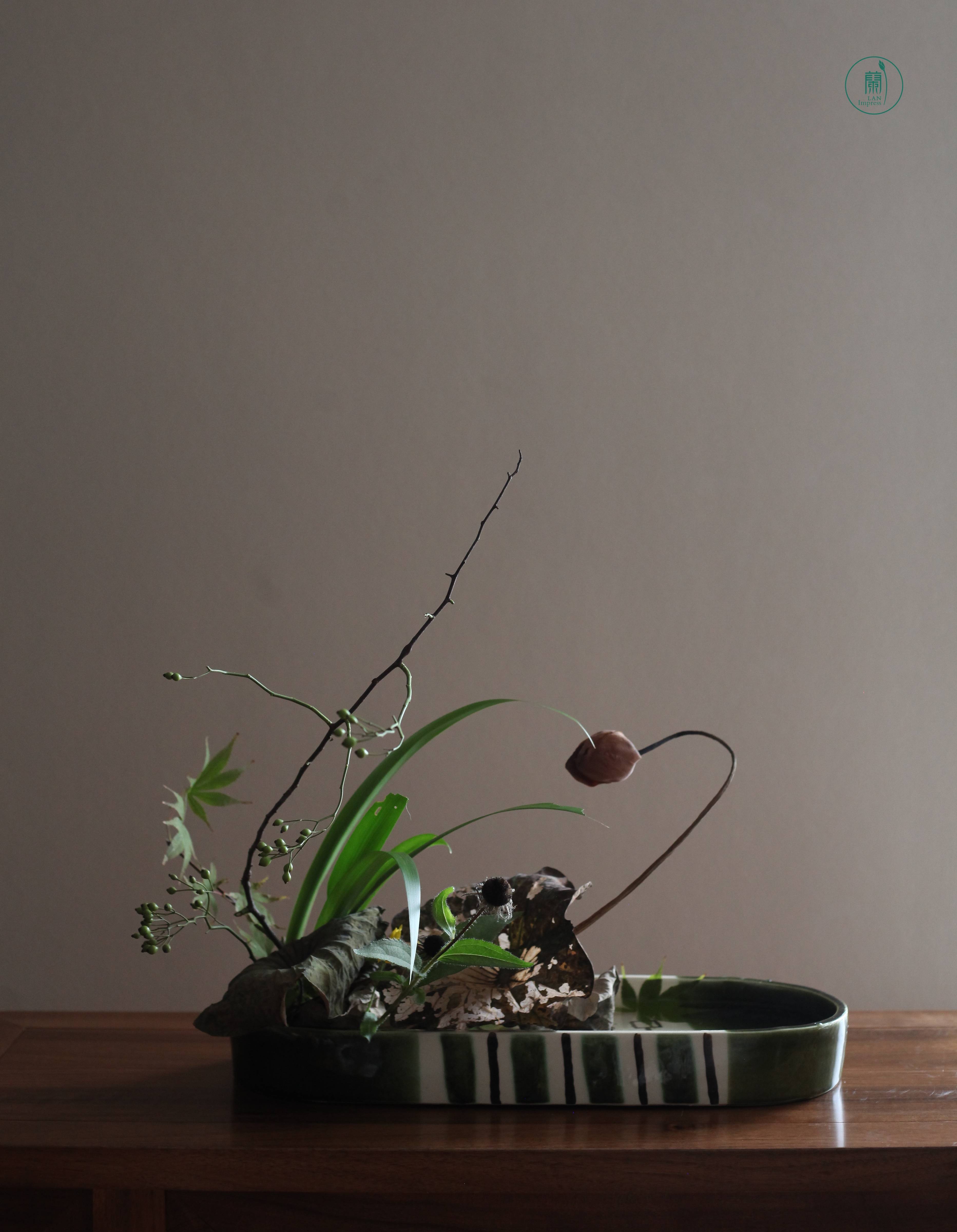 留得枯荷听雨|颓与新意境插花#蘭印象花道专题研修——秋之枯荷 留得枯荷听雨|颓与新意境插花#蘭印象花道专题研修——秋之枯荷