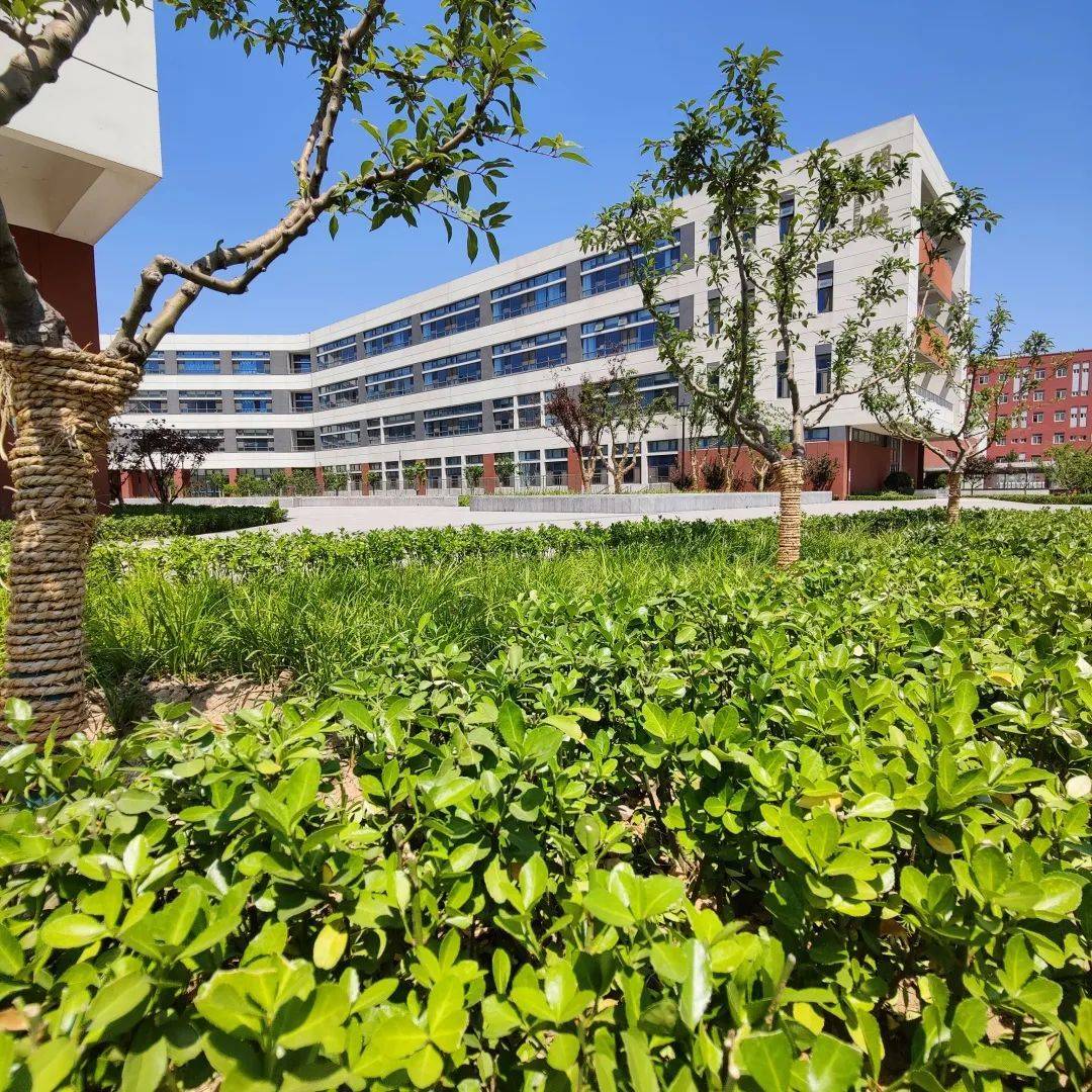 公园式的淄博大学城实验中学-购房网