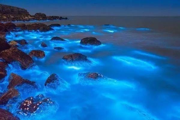 舟山_系统_胡颖