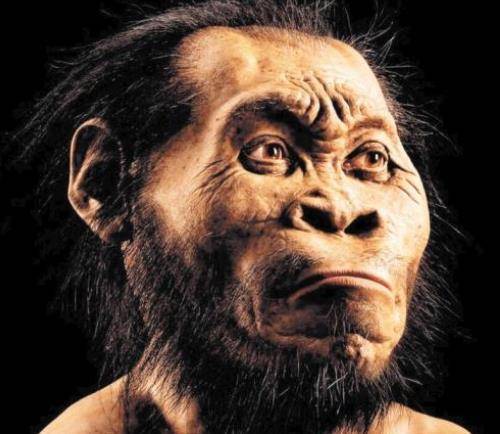公元18000年猴子照片图片