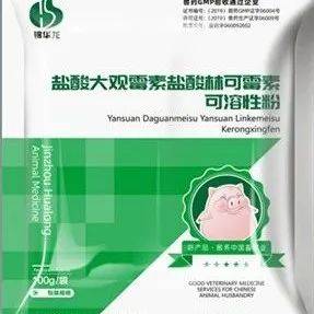 猪丹毒的防治_疹块_影响_死亡
