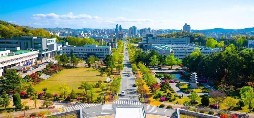 韩国国立济州大学图片