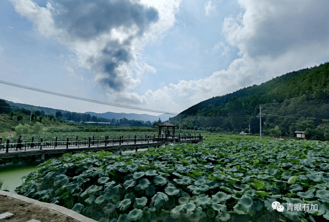 去桐柏,一定要先去紅二十五軍轉戰地