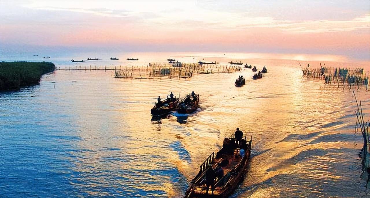 生活最好的状态,是静水流深_太湖_芦苇青_鄱阳湖