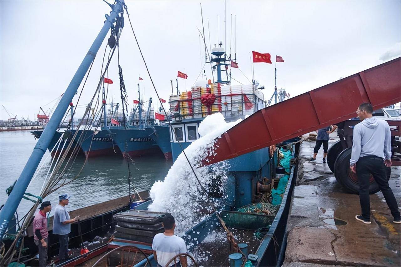 开海战秋捕,威海荣成石岛千帆竞发_渔船_石岛管理区_捕捞