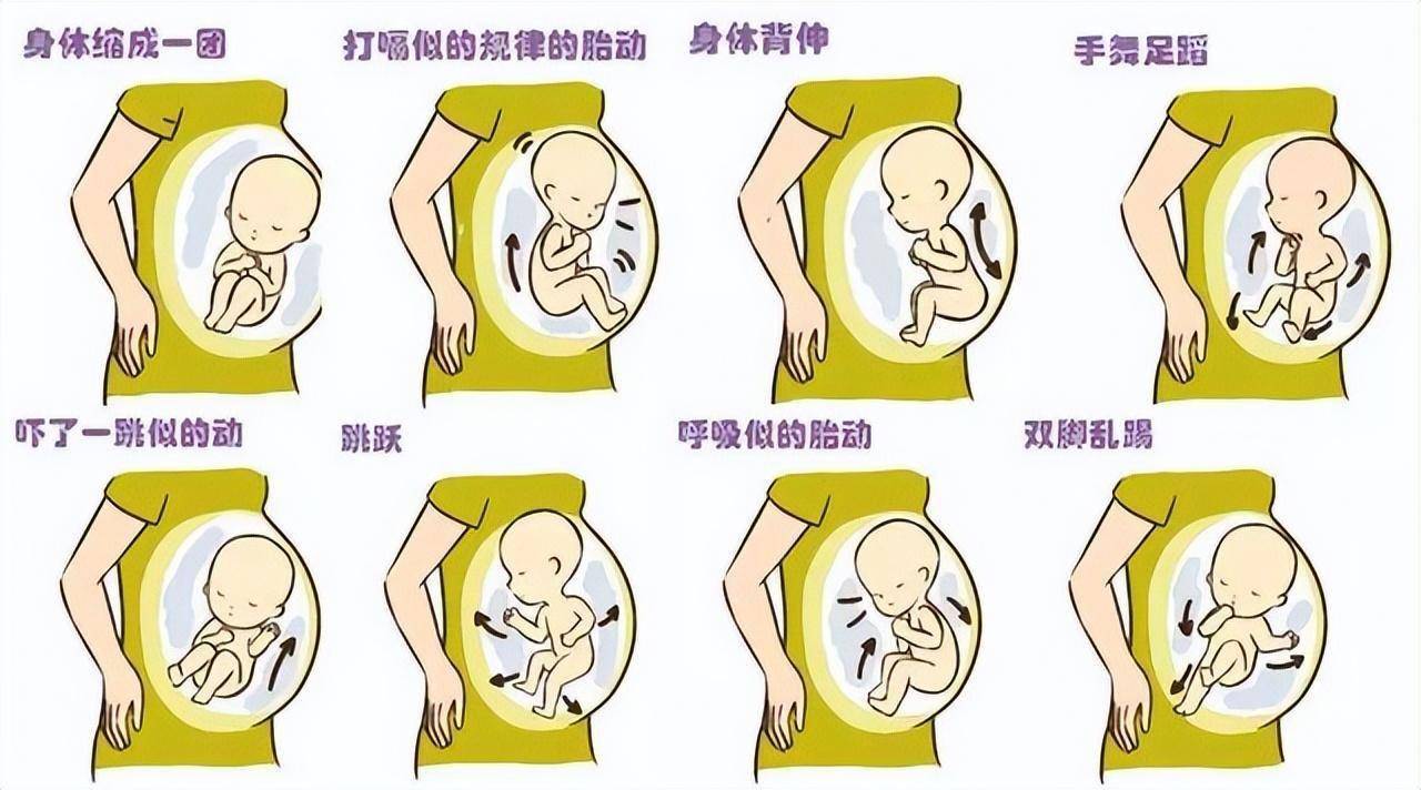 胎宝宝在妈妈肚子里,除了拳打脚踢还有这些小活动