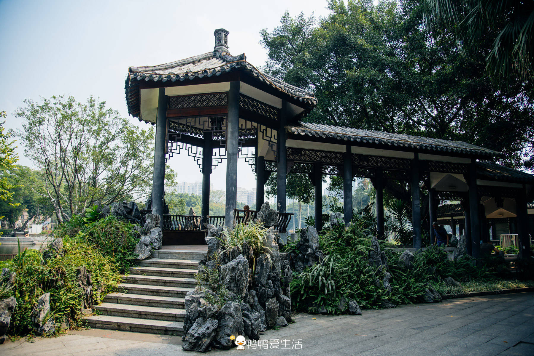 广州荔湾湖公园：64年前由群众义务开凿而成，今成市民休闲好去处
