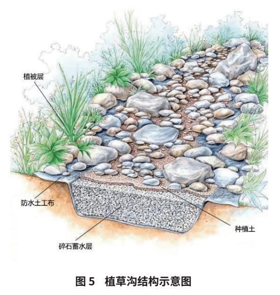 双碳专题 | 生态海绵,蓝绿共生——某滨河景观项目海绵城市设计实践_雨水_场地_径流