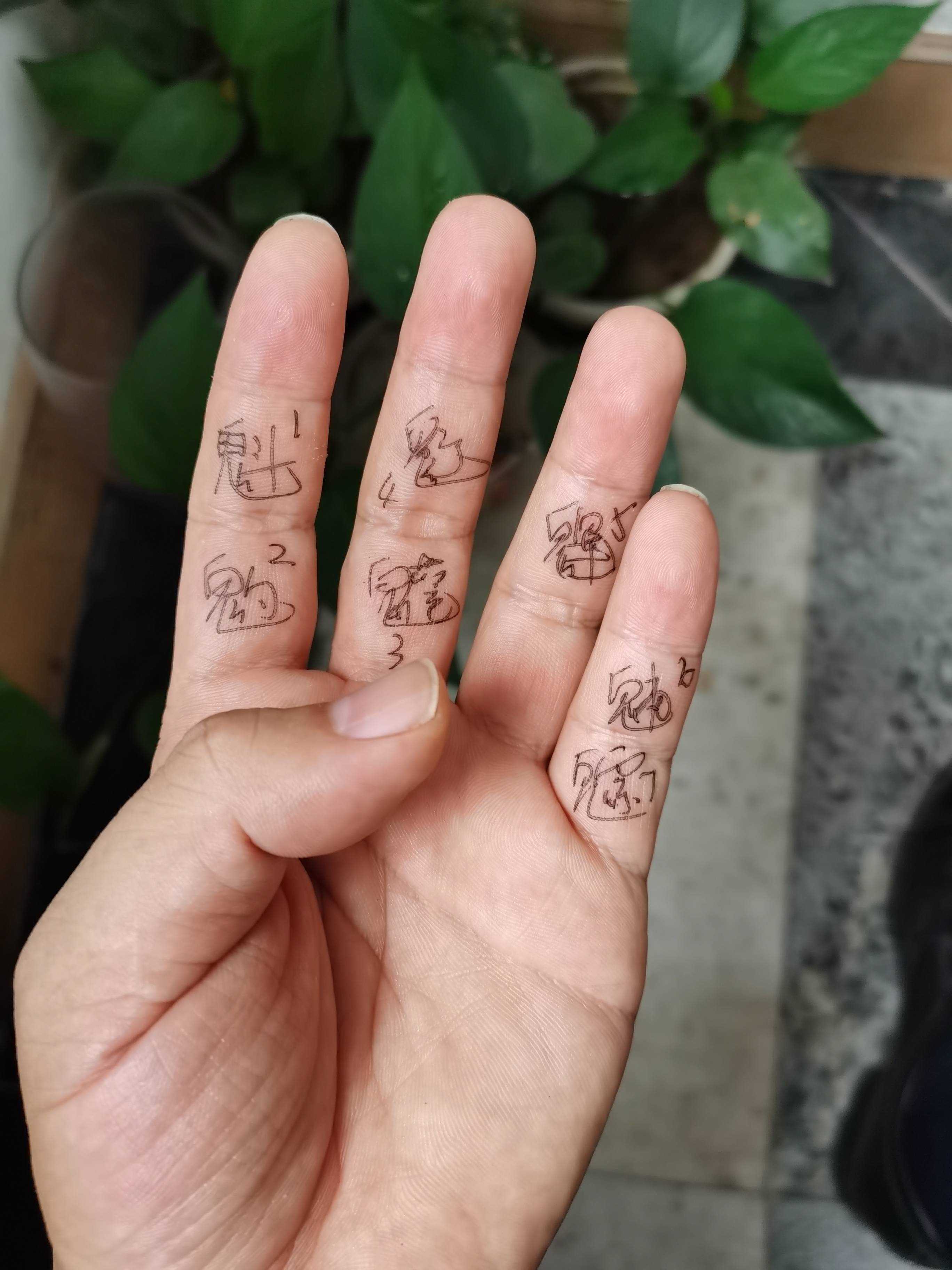 参悟北斗七星,诸葛亮祈福延寿功亏一篑,八段锦添油续命暗结灵胎_七窍