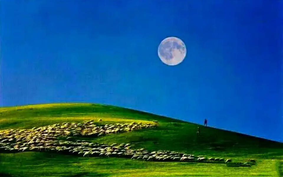 草原花月夜图片图片