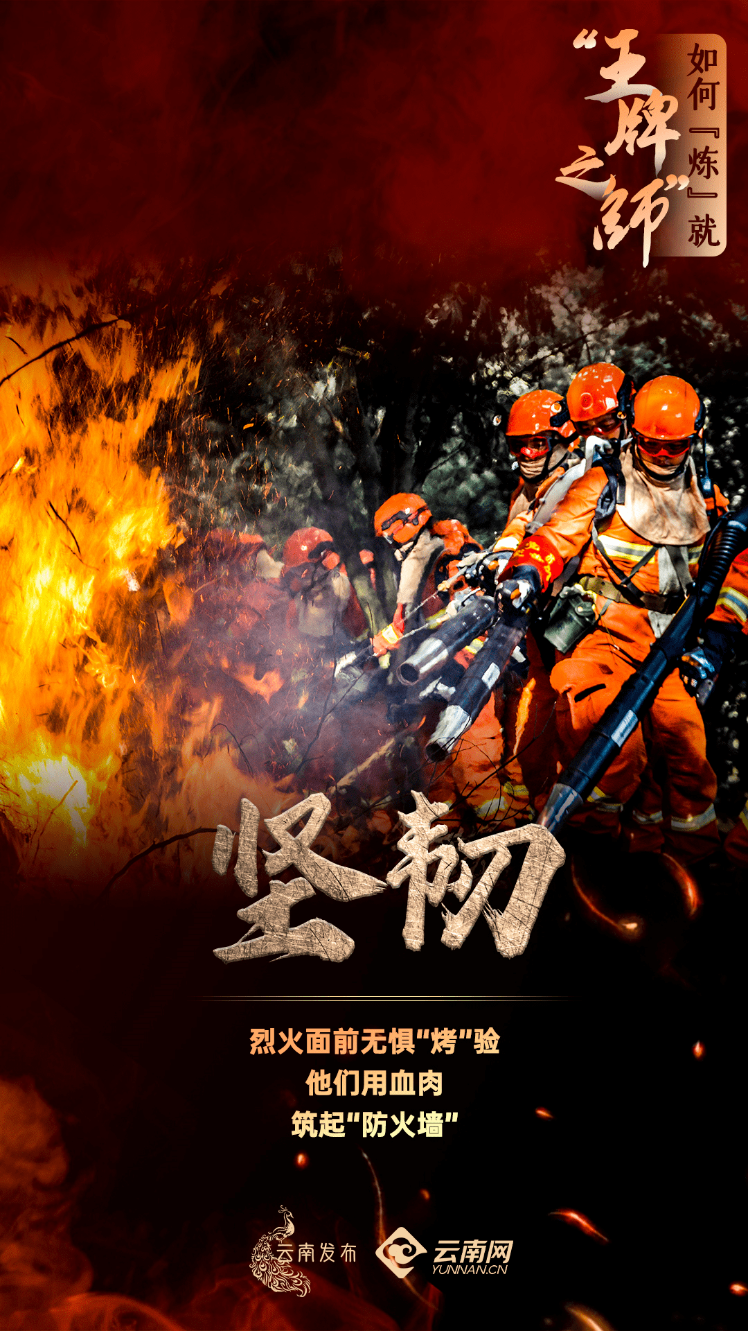 云南省森林消防执行过的