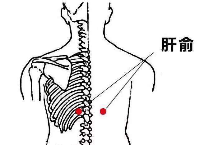 在中医里属于俞原配穴法