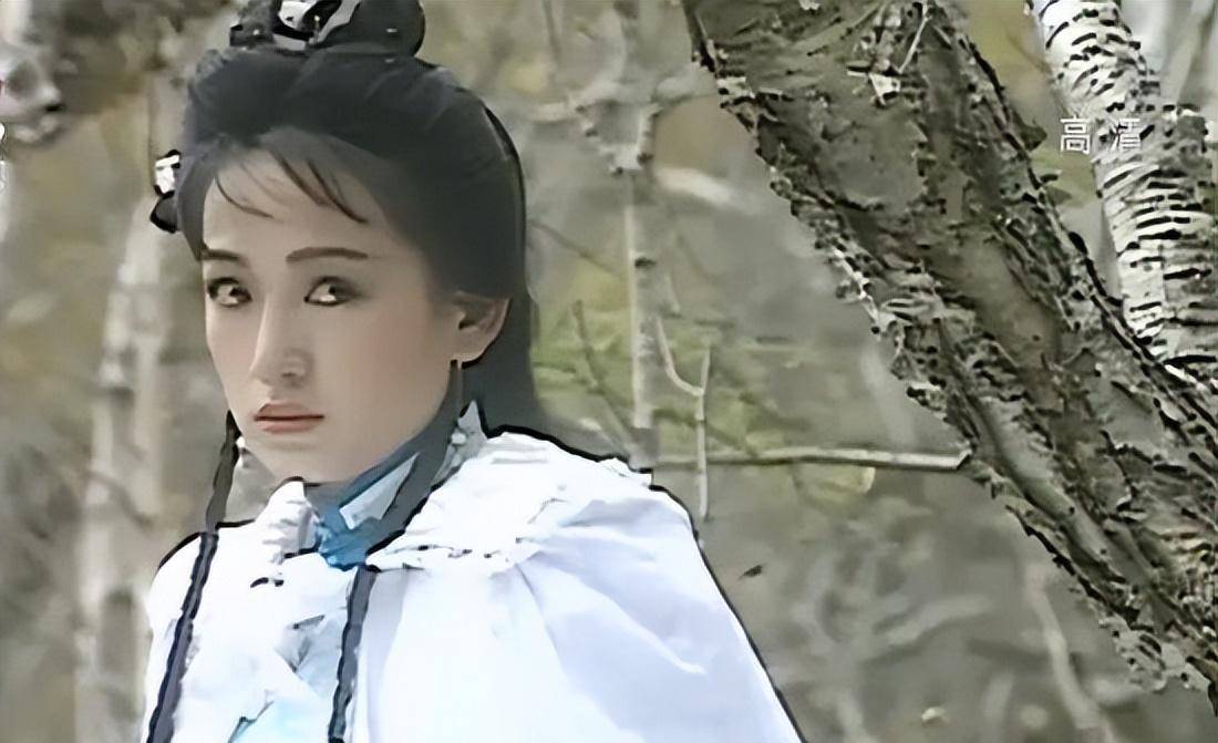 胡斐_程灵素_江湖