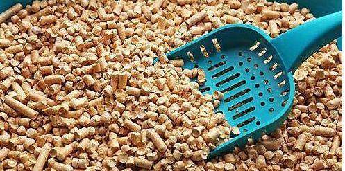 每一只无敌尿王猫咪,都会伴随纸屑猫砂一生,纸砂永相随_消耗量_结团