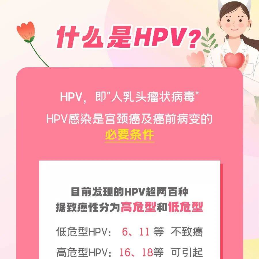 廊坊人，关于hpv，这些一定要知道！ 疫苗 什么 杨光