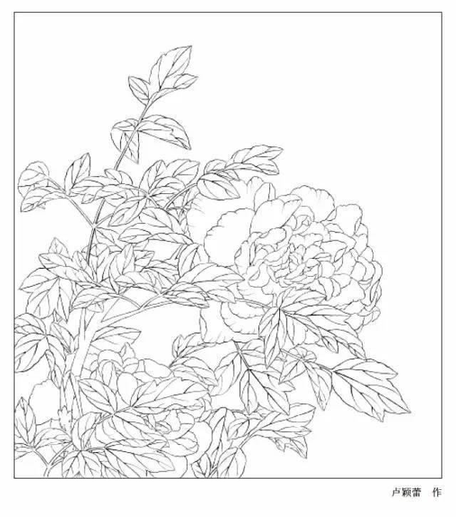 开花_海棠_国画