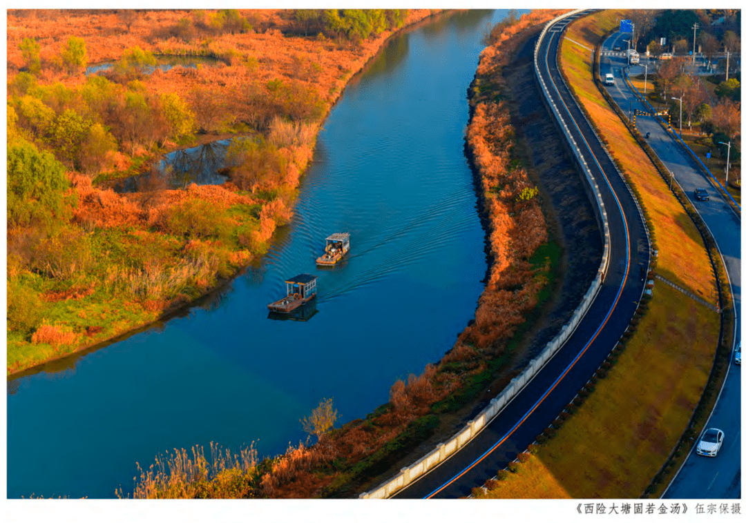 摄影师镜头下的苕溪,竟美成这样!_西险_大塘_余杭区